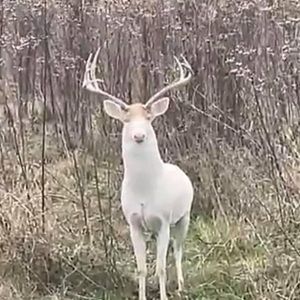 Meet your Posher, Greg